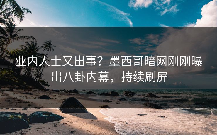 业内人士又出事？墨西哥暗网刚刚曝出八卦内幕，持续刷屏