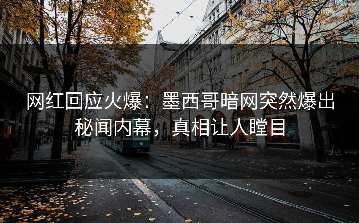 网红回应火爆：墨西哥暗网突然爆出秘闻内幕，真相让人瞠目