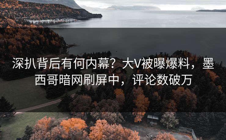 深扒背后有何内幕？大V被曝爆料，墨西哥暗网刷屏中，评论数破万