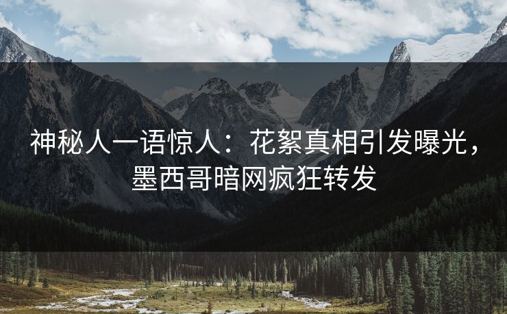神秘人一语惊人：花絮真相引发曝光，墨西哥暗网疯狂转发