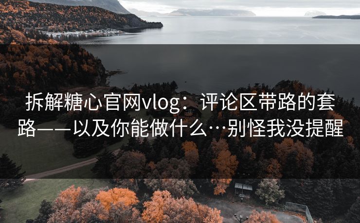 拆解糖心官网vlog：评论区带路的套路——以及你能做什么…别怪我没提醒