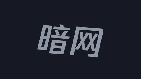 探索暗网：在线探索指南