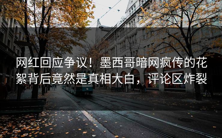网红回应争议！墨西哥暗网疯传的花絮背后竟然是真相大白，评论区炸裂