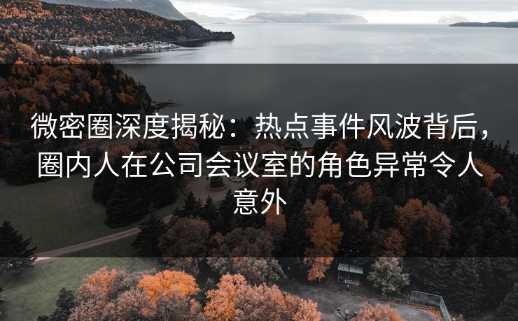 微密圈深度揭秘：热点事件风波背后，圈内人在公司会议室的角色异常令人意外
