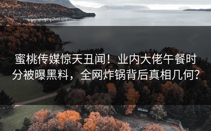 蜜桃传媒惊天丑闻！业内大佬午餐时分被曝黑料，全网炸锅背后真相几何？