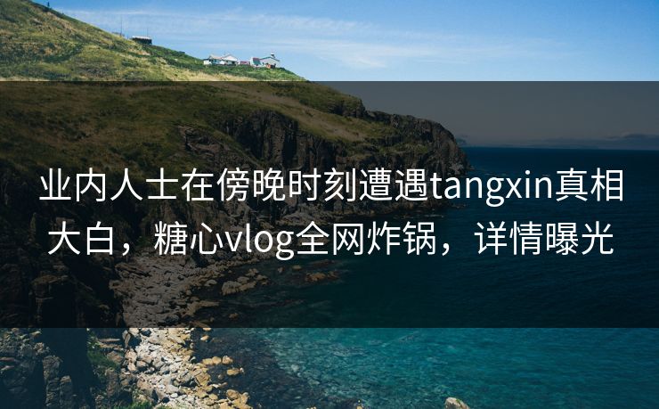 业内人士在傍晚时刻遭遇tangxin真相大白，糖心vlog全网炸锅，详情曝光